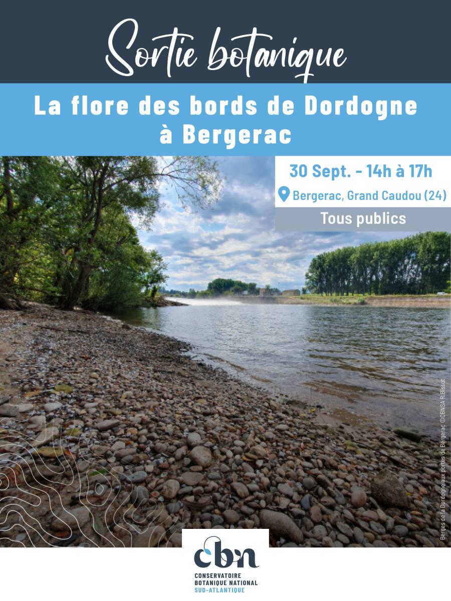 Sortie le 30 septembre : la flore des bords de Dordogne à Bergerac (24)