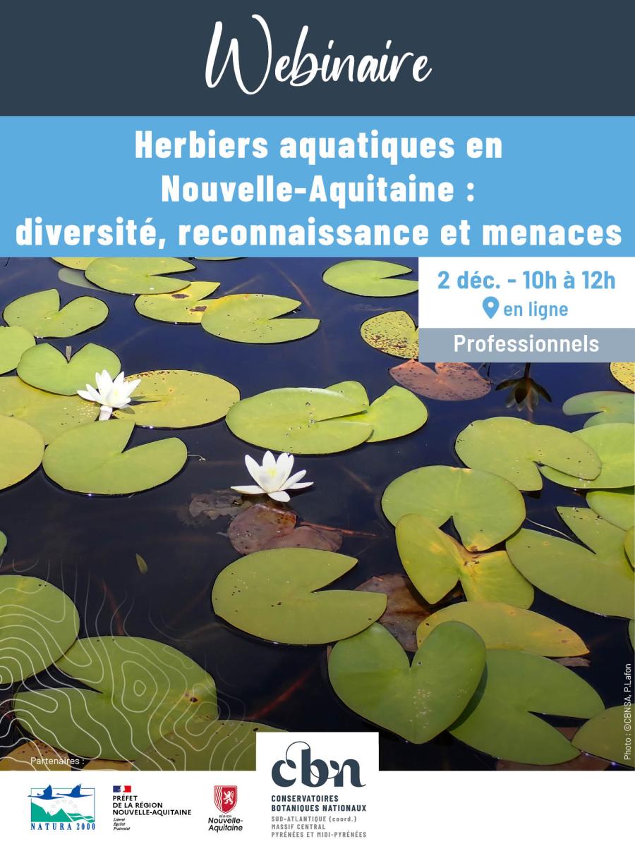 Webinaire de restitution du programme sur les herbiers aquatiques de Nouvelle-Aquitaine - Mardi 2 décembre 2025