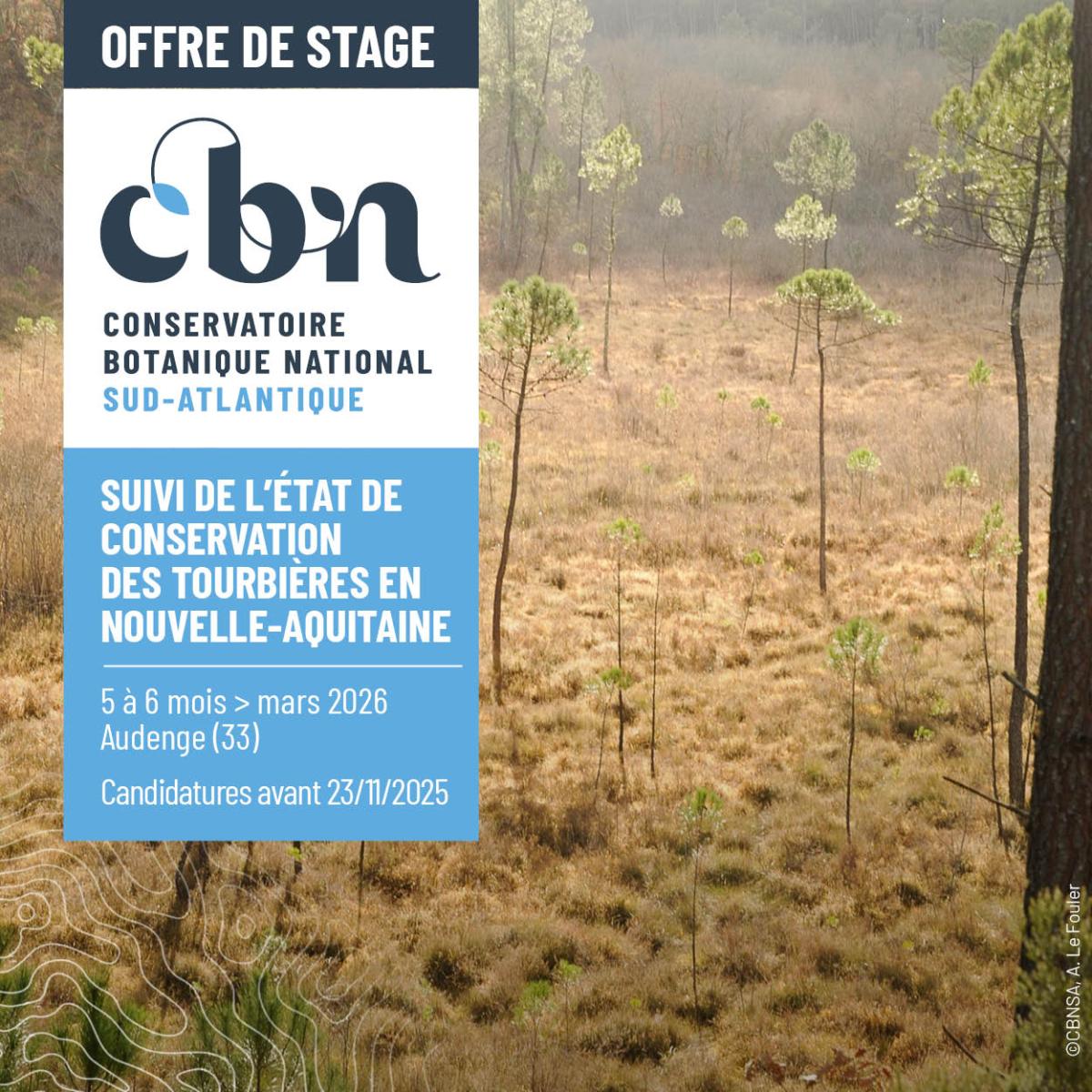 Stage 2026 - Suivi de l’état de conservation  des tourbières en Nouvelle-Aquitaine