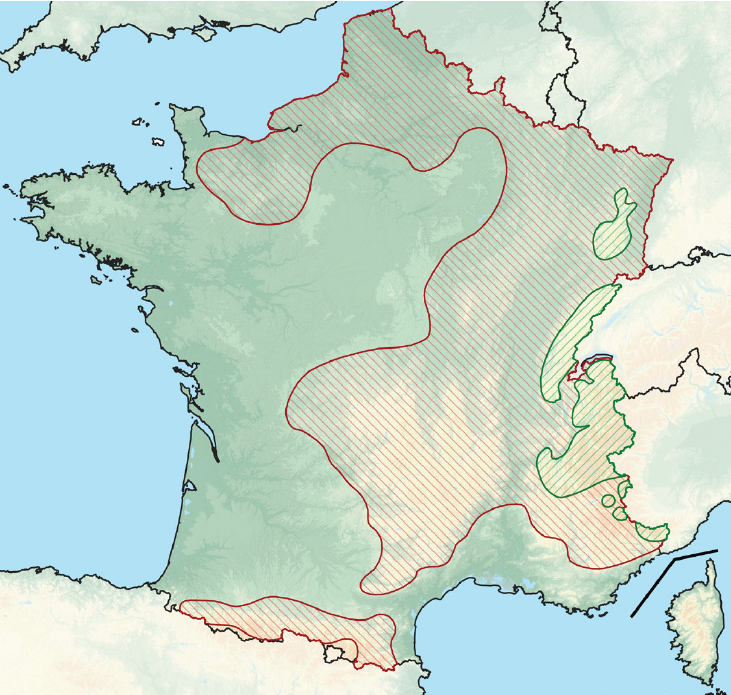 Capture d’écran 2026-03-13 105542.png