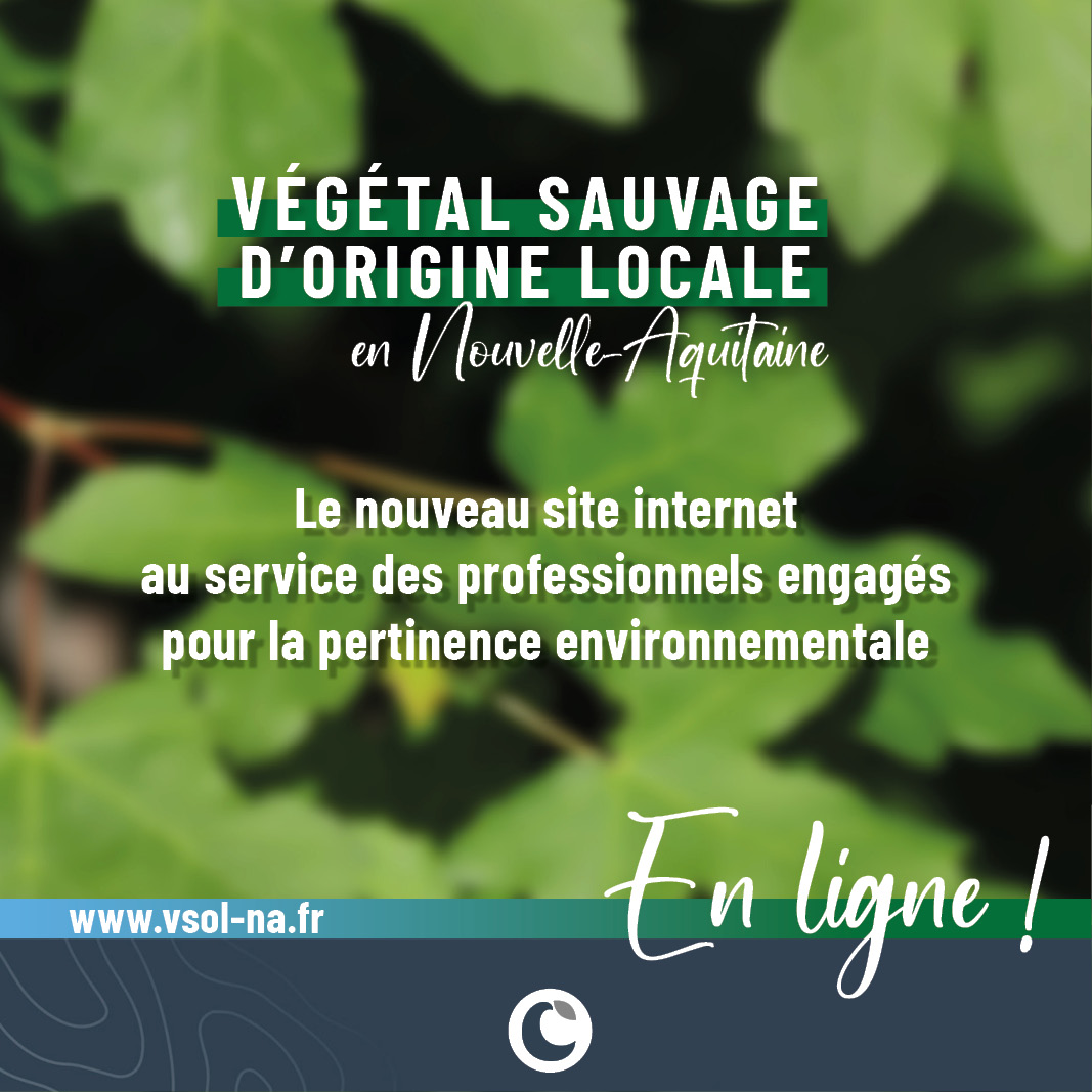 Actu_En ligne_022.jpg