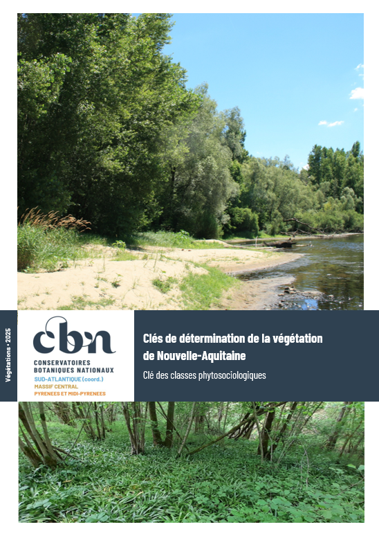 Capture d'écran 2026-03-25 092628.png