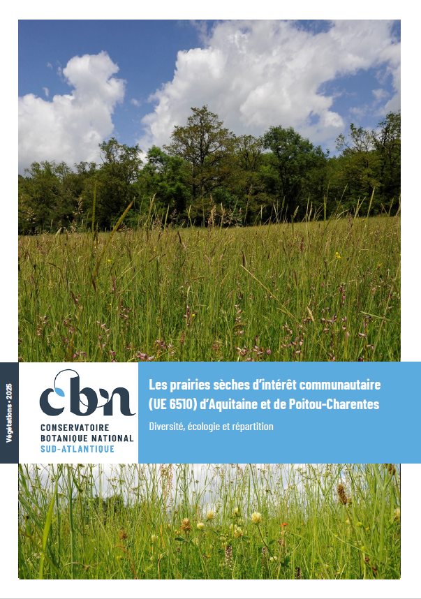 Capture d'écran 2026-03-25 095219.png