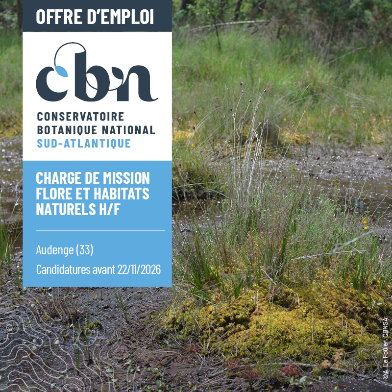 Vignette web_offre emploi.jpg