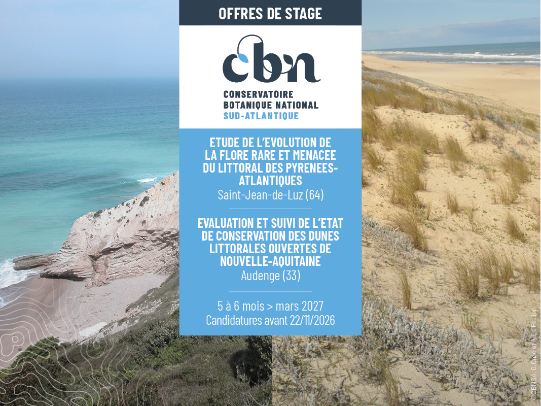 Actu_Offres de stage.jpg